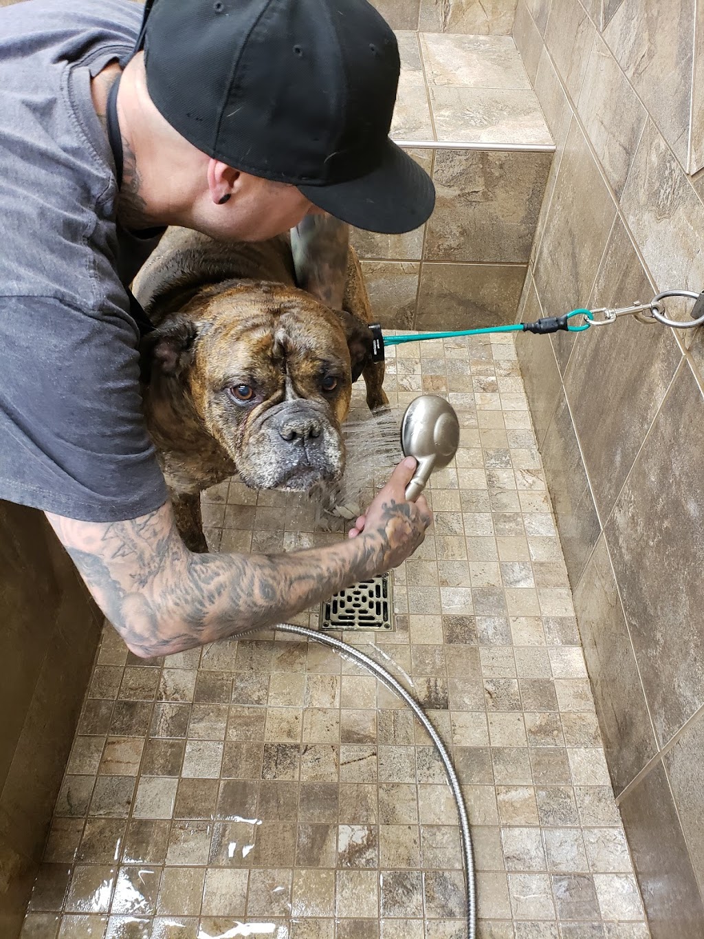 Pet Valu | 8005 Emerald Dr, Sherwood Park, AB T8H 0P1, Canada | Phone: (780) 464-0395