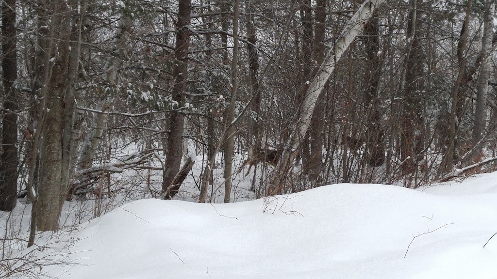 Ravens Knoll | 10441 ON-60, Eganville, ON K0J 1T0, Canada | Phone: (613) 867-6346