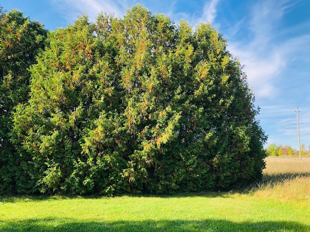Peel Landscaping Ltd | 19002 Hurontario St, Caledon Village, ON L7K 1W6, Canada | Phone: (519) 927-9404