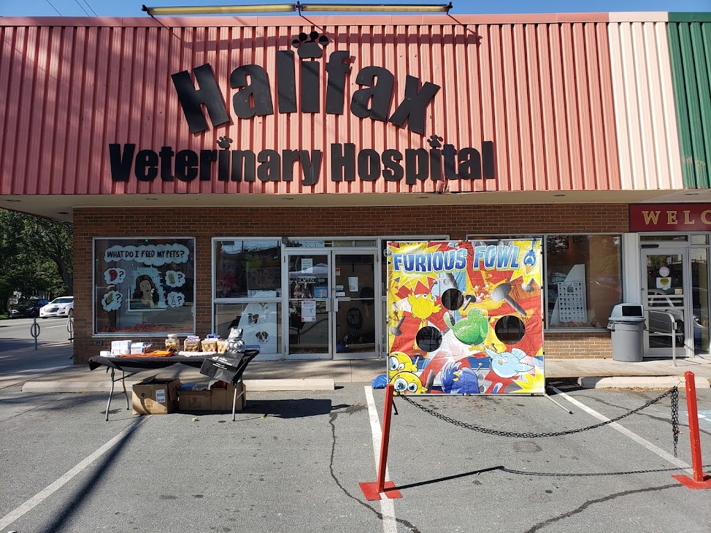 Halifax Veterinary Hospital | 6485 Quinpool Rd, Halifax, NS B3L 1B2, Canada | Phone: (902) 422-8595