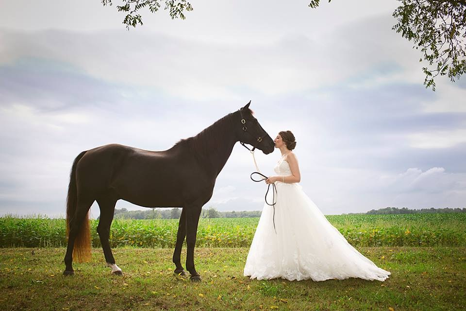 Briar Quest Farm | 5225 Westdel Bourne, London, ON N6P 1P3, Canada | Phone: (519) 660-9750