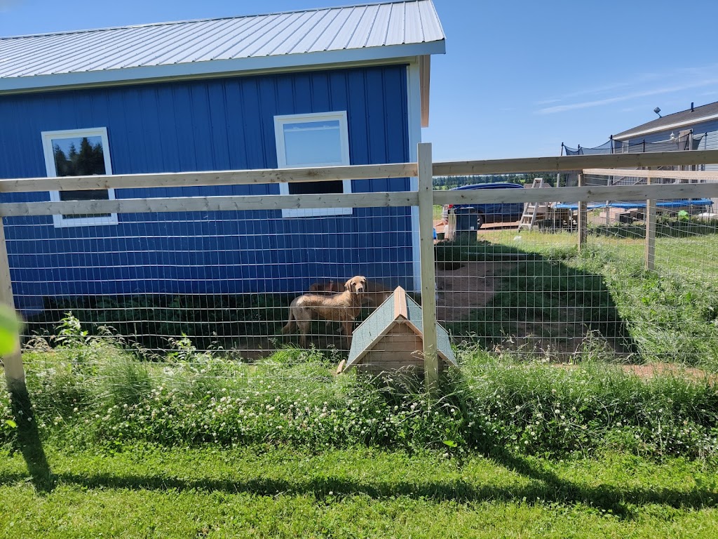 Salt Breeze Farms | PE-244, North Wiltshire, PE C0A 1Y0, Canada | Phone: (902) 956-4397