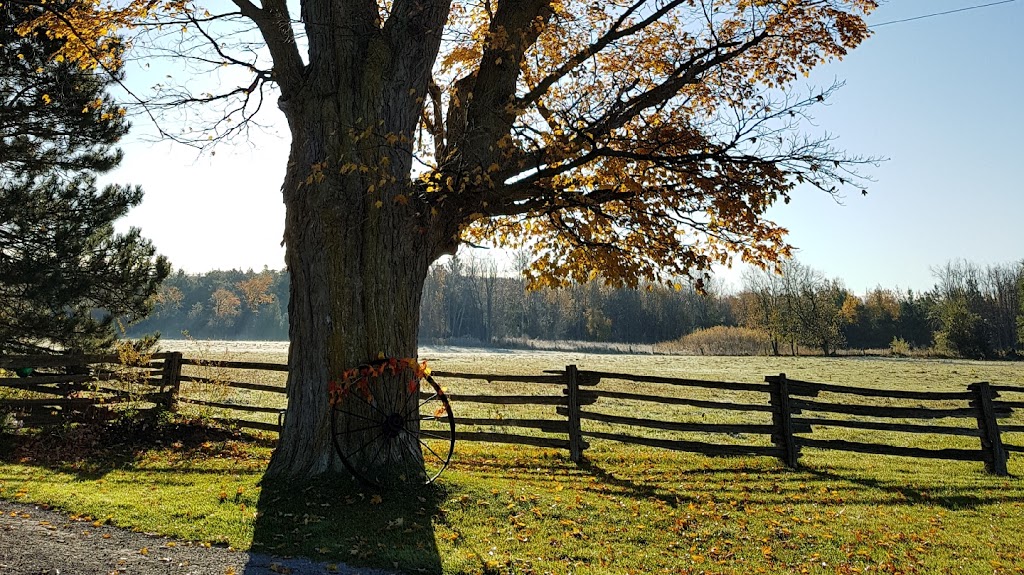McGuire Fencing Limited | 6411 6 Line, Egbert, ON L0L 1N0, Canada | Phone: (705) 435-2770