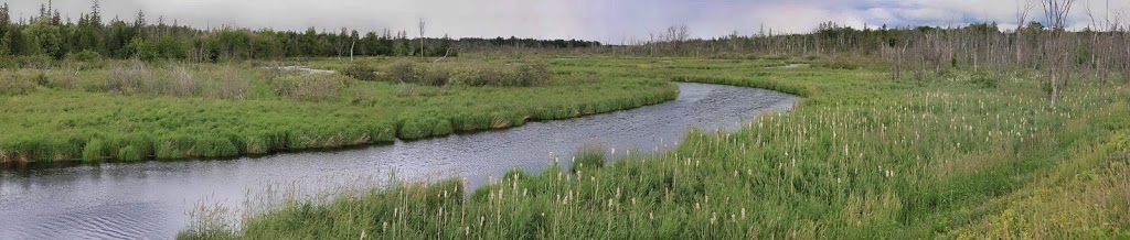 Wetland, River | 301-445 Golf Course Rd, Janetville, ON L0B 1K0, Canada