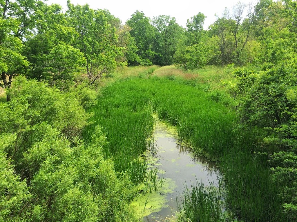 Chippewa Electric Rail Trail | Hamilton, ON L0R 1P0, Canada