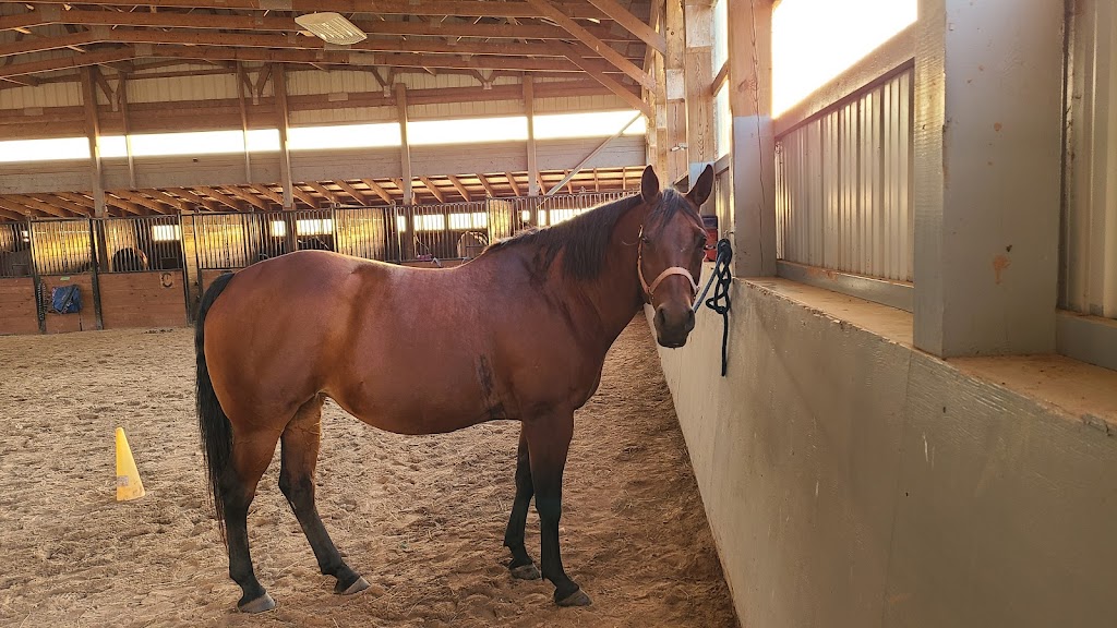Hockley Hills School of Horsemanship | point of interest | 246063, County Road 16, Orangeville, ON L9W 2Z1, Canada | 5199426688 OR +1 519-942-6688