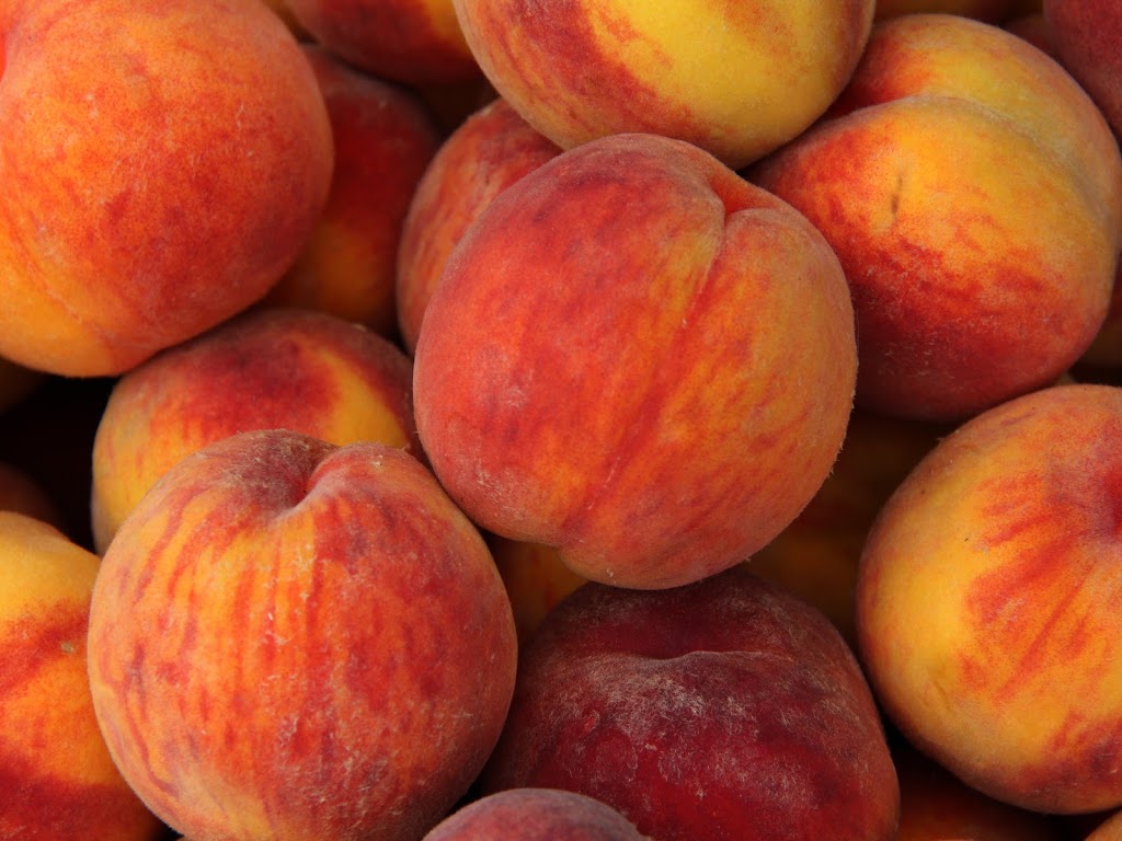 Fruit Forest Farm | 802 Aros Rd, Cobble Hill, BC V0R 1L4, Canada | Phone: (250) 888-0843