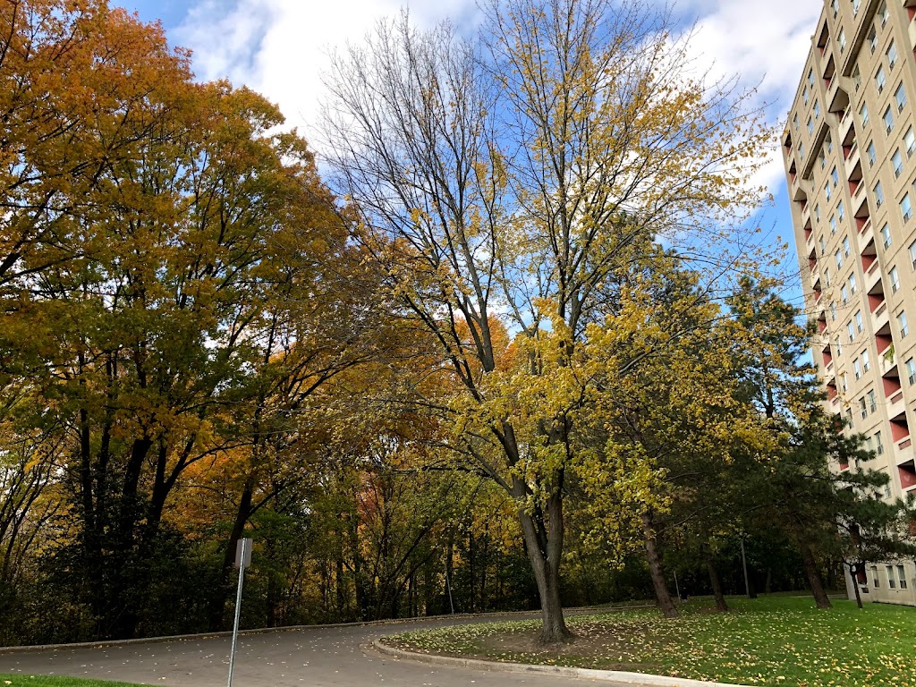 Forest Hill | 605 Proudfoot Ln, London, ON N6H 4S2, Canada | Phone: (519) 641-1505