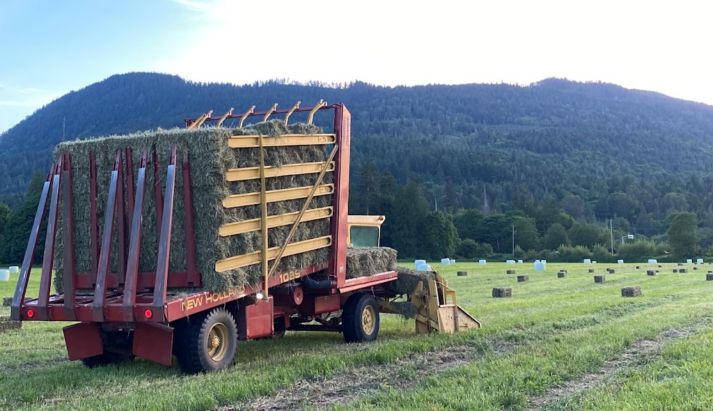 Island Grass | 2692 Mt Sicker Rd, Chemainus, BC V0R 1K4, Canada | Phone: (250) 710-5479