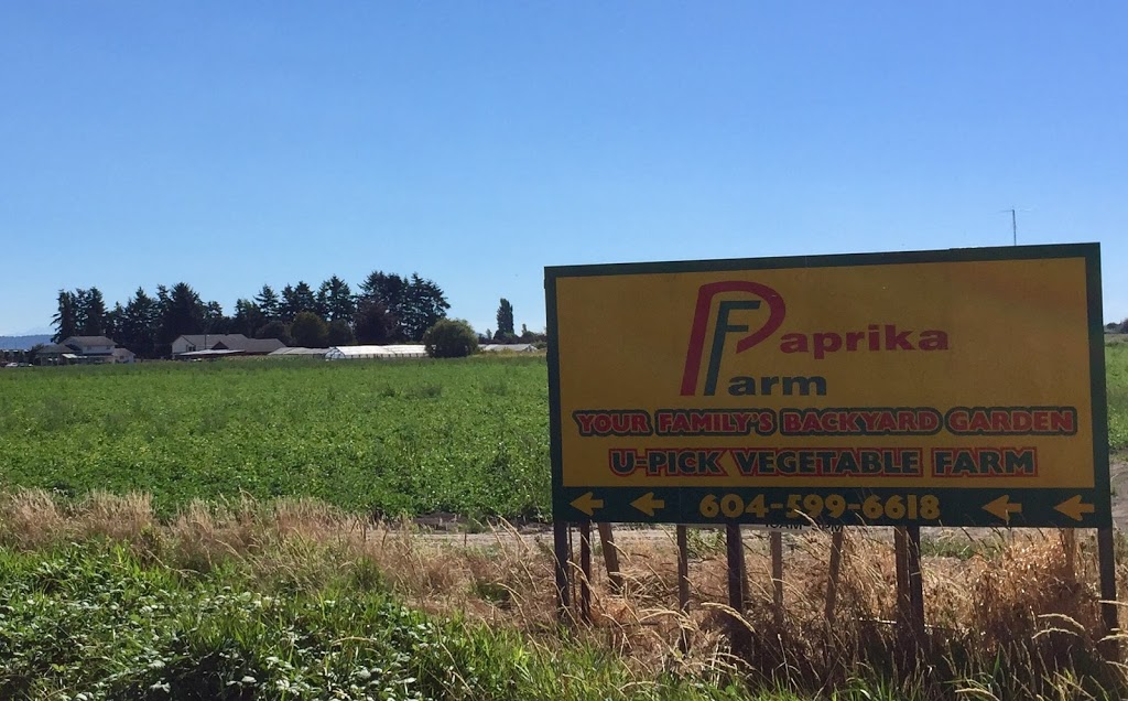 Paprika Farm - U-Pick - Closed Until Next Summer | store | 4655 96 St, Delta, BC V4K 3N3, Canada | 6045996618 OR +1 604-599-6618