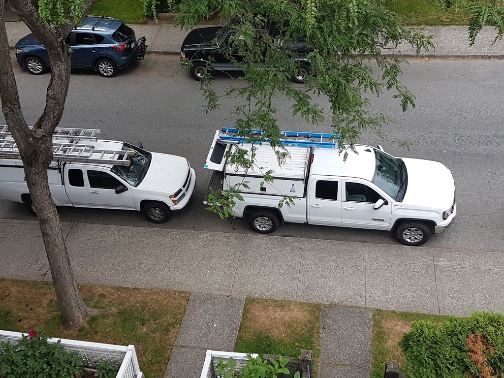 Humane Solutions - Wildlife & Pest Control | 20288 113b Ave #172, Maple Ridge, BC V2X 0Y7, Canada | Phone: (604) 330-5885