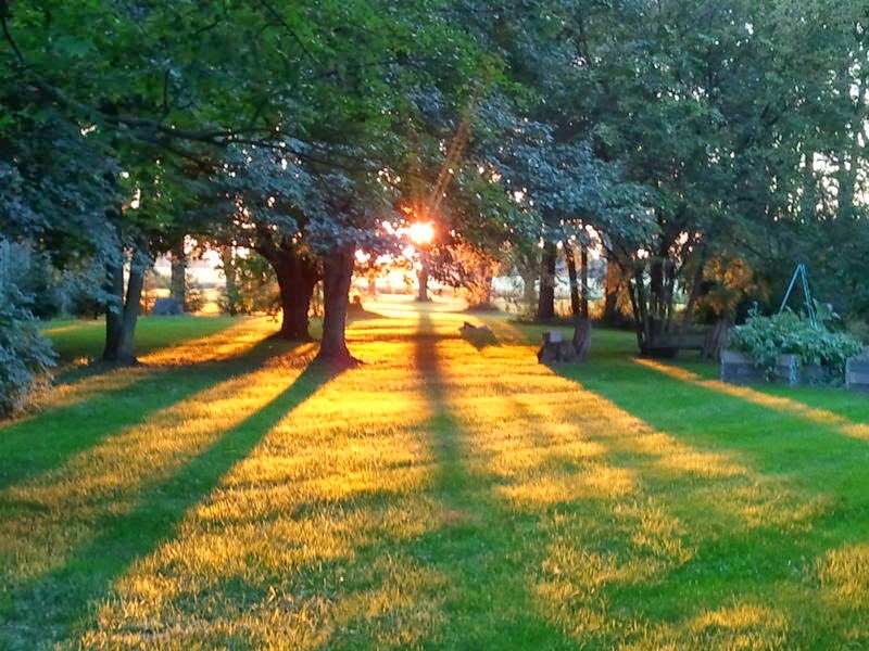 Victorian Pines Bed and Breakfast | 64 Main St, Glencoe, ON N0L 1M0, Canada | Phone: (519) 287-9909