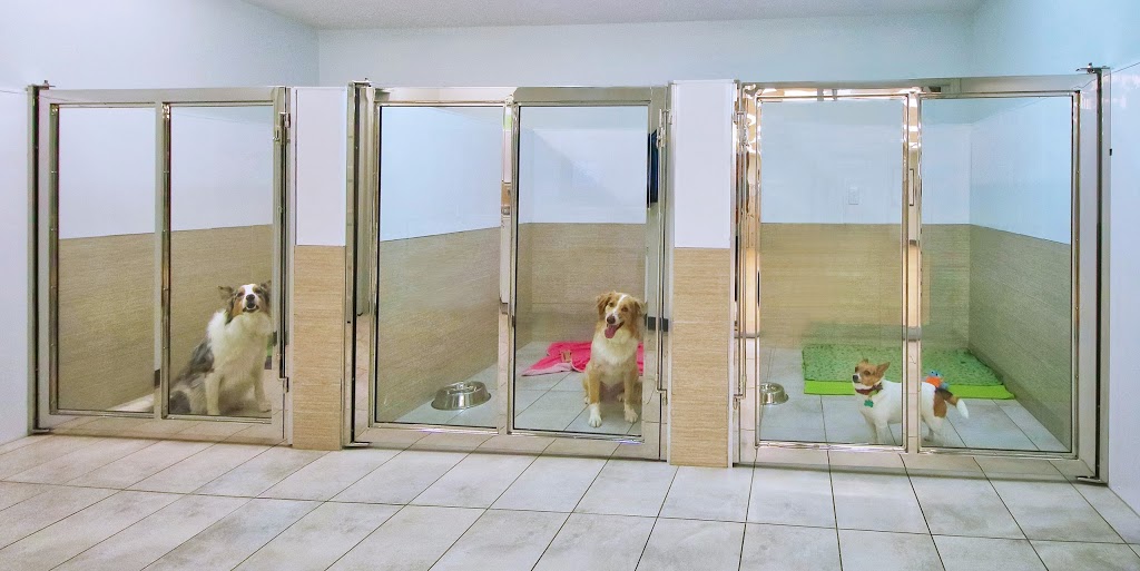 Pet Animal Domain | 437 Boulevard Thibeau, Trois-Rivières, QC G8T 6Y6, Canada | Phone: (819) 371-7707