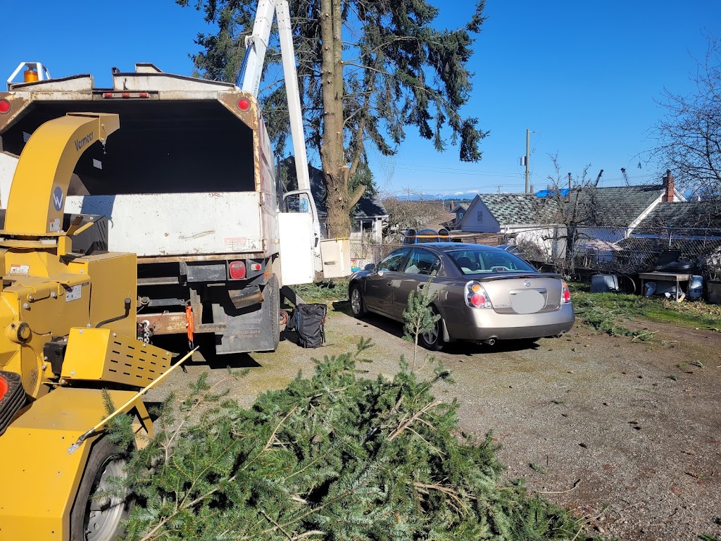 Hemlock Tree Service | 2919 Hemlock Dr, Nanoose Bay, BC V9P 9G2, Canada | Phone: (250) 321-2515