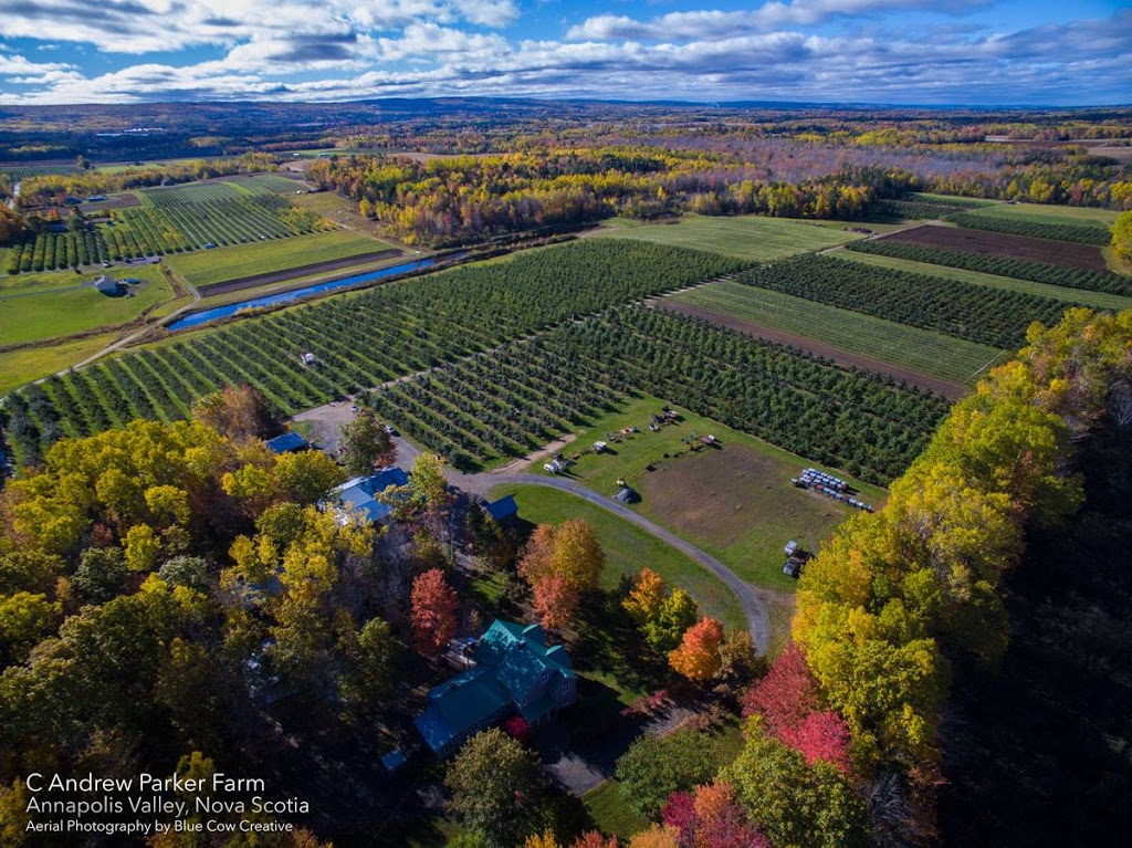 Blue Cow Marketing | 3066 Lovett Rd, Coldbrook, NS B4R 1A4, Canada | Phone: (902) 300-3030