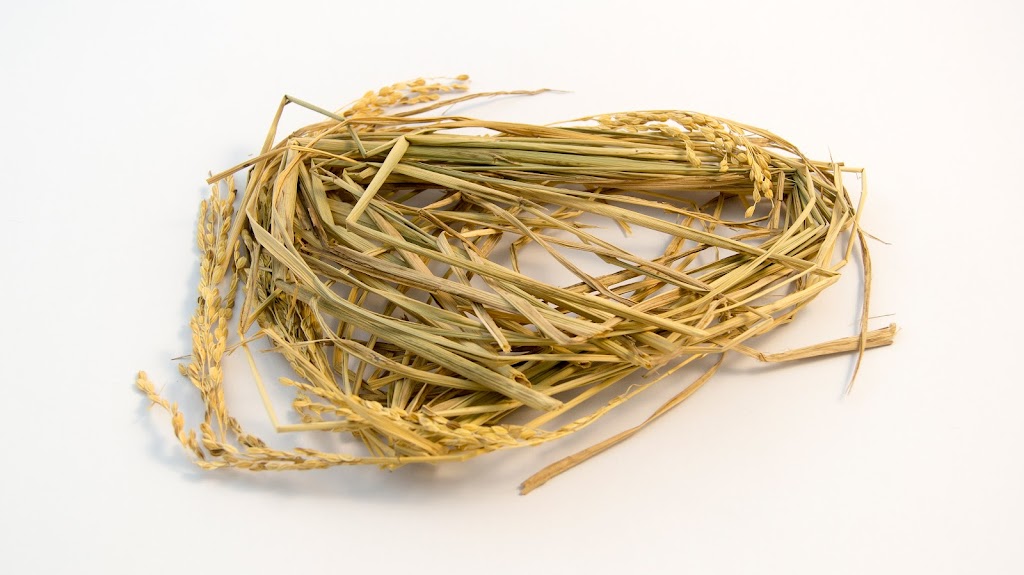 Plant Plus Straw manufacturer | 3675 44 Ave E, Edmonton, AB T9E 0V4, Canada | Phone: (604) 754-2099