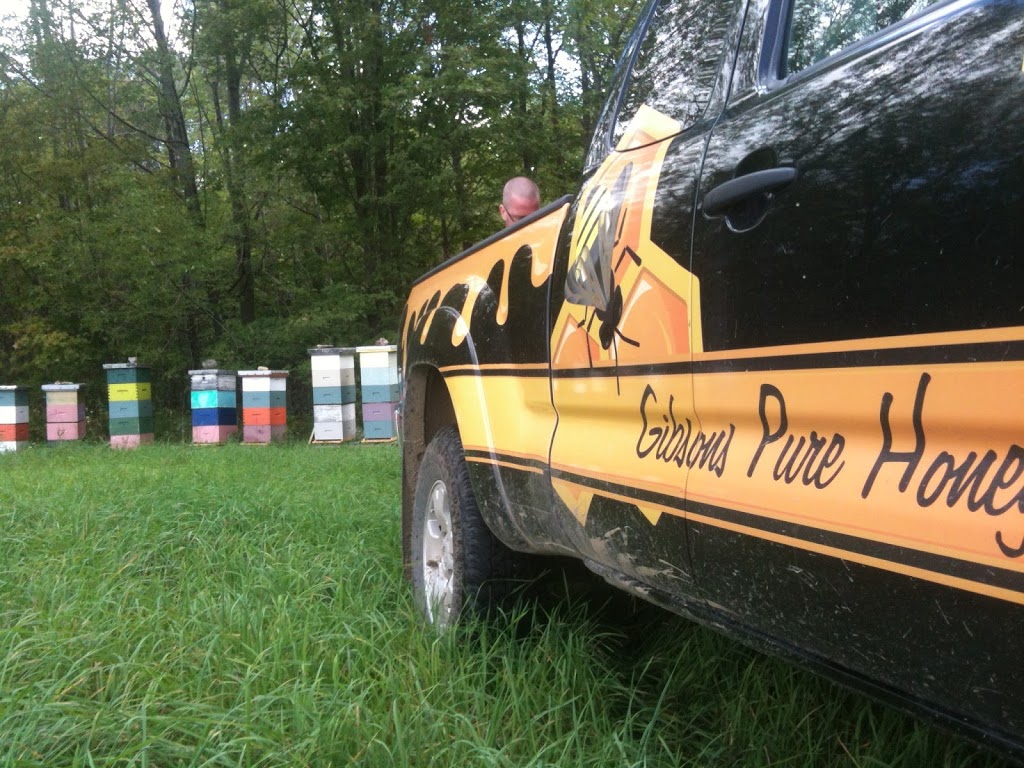 Gibsons Pure Honey | ON-6, Chatsworth, ON N0H 1G0, Canada | Phone: (519) 794-2169