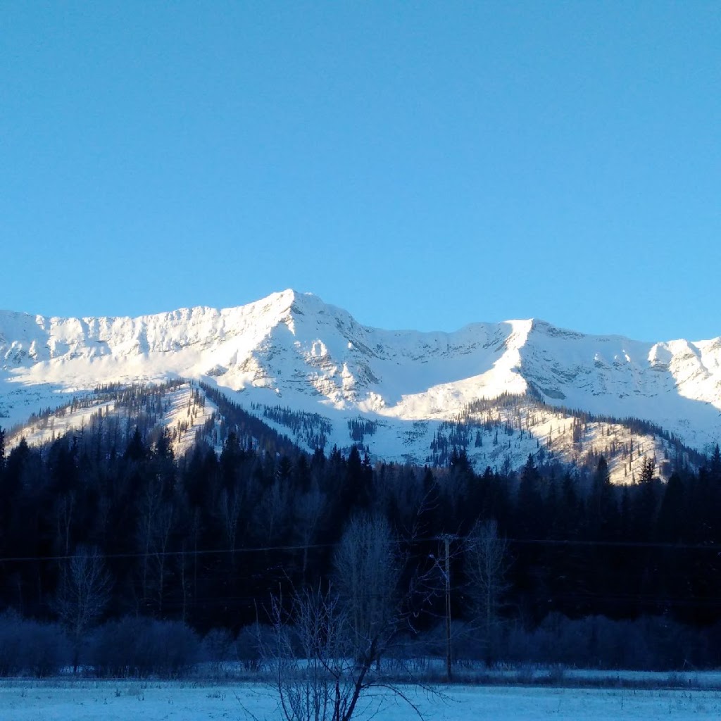 Capasiti Consulting Inc. | 430-400 Riverside Way, Fernie, BC V0B 1M7, Canada | Phone: (778) 371-8963