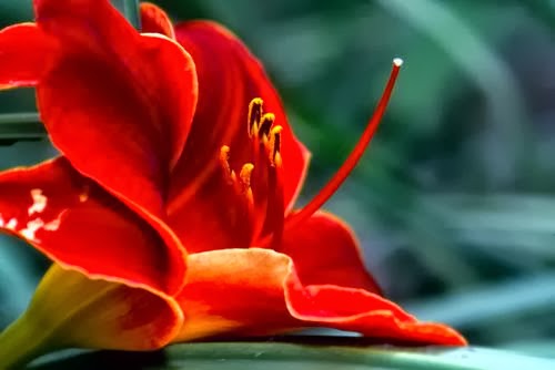 Enrique Photo Art | 23 Brouwer Crescent, Wasaga Beach, ON L9Z 1L8, Canada | Phone: (705) 422-1658