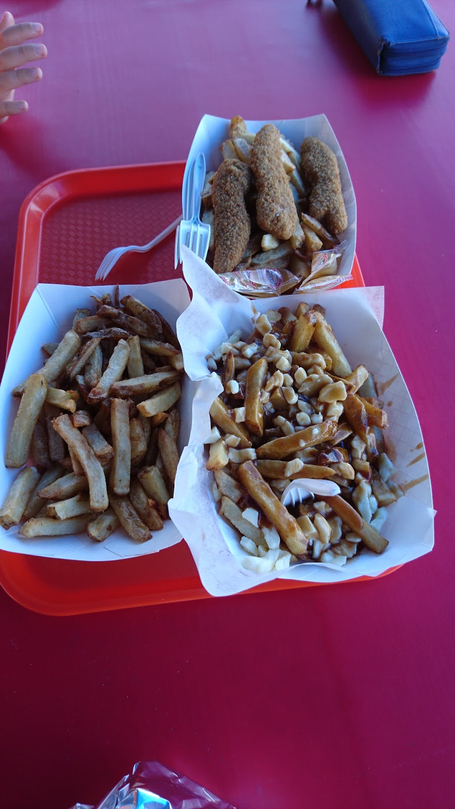 Dawgs Burgers & Fries | 5 Marina Dr, Port Colborne, ON L3B 4E4, Canada | Phone: (905) 650-1651