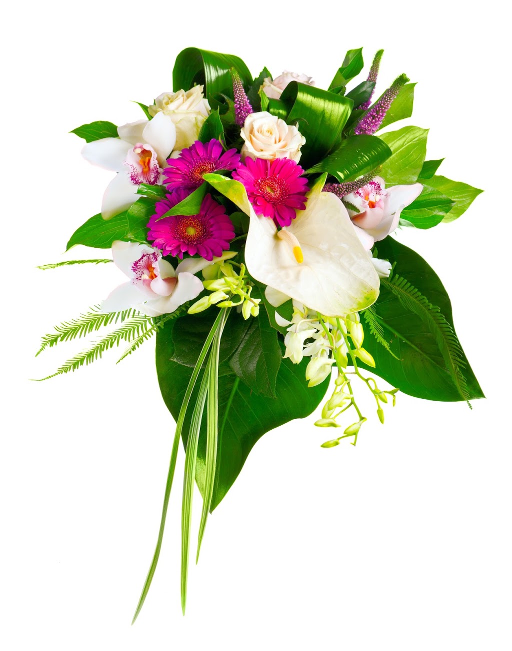 Dahlia Les Fleurs DAlie | 3155- A Boulevard Dagenais O, Laval, QC H7P 1T8, Canada | Phone: (450) 625-2263