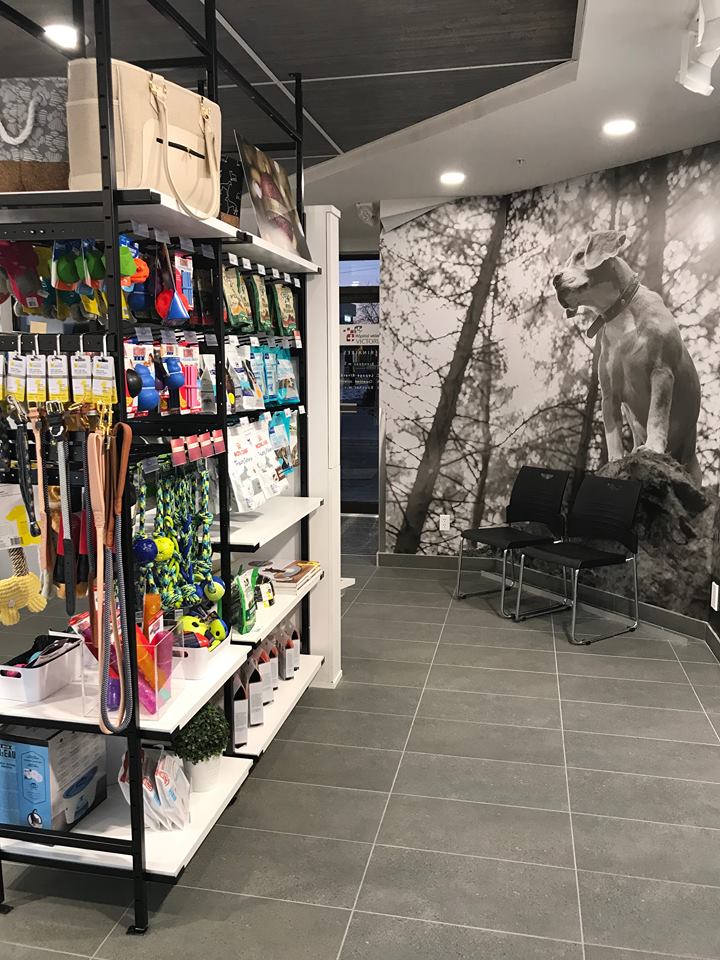 Hôpital Vétérinaire Victoria ???? | 325 Rue Lawrence, Greenfield Park, QC J4V 2Z5, Canada | Phone: (514) 524-2727