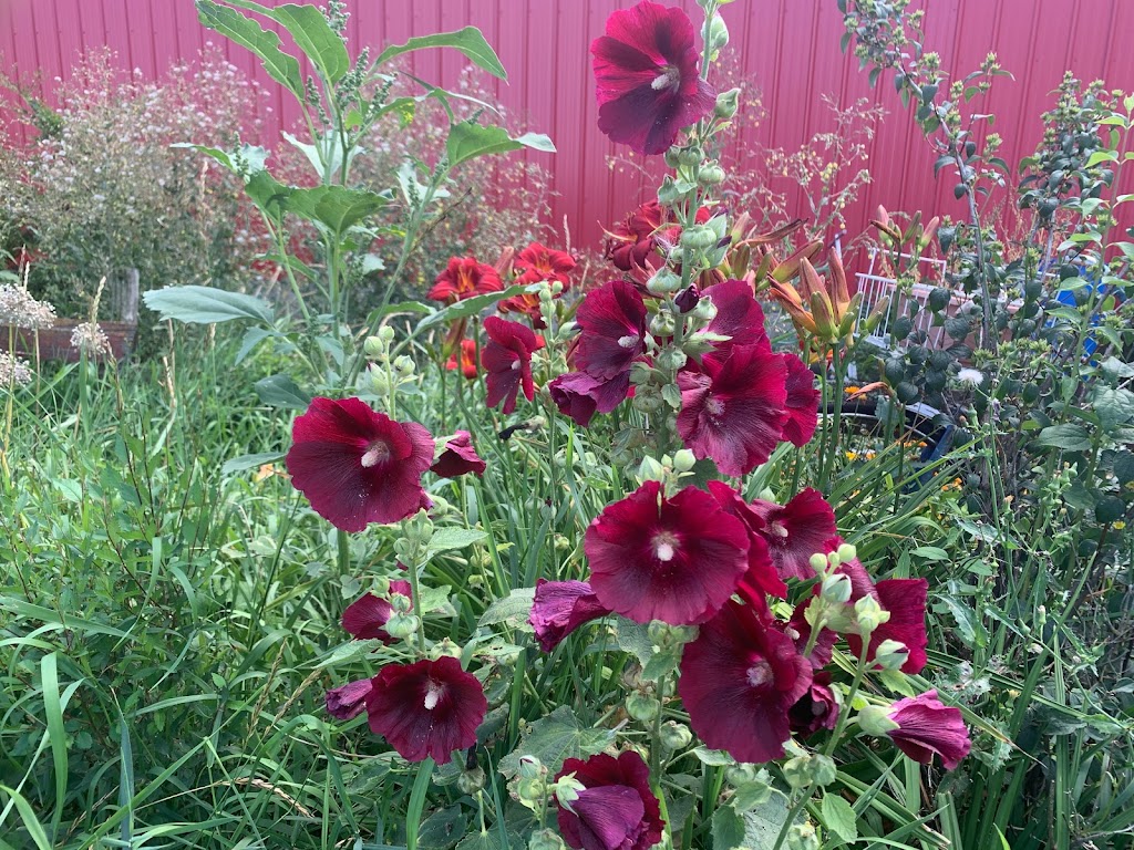 Sherlock Consulting Canada Inc. & The Big Red Shop | Box 182, Crystal City, MB R0K 0N0, Canada | Phone: (431) 268-0535