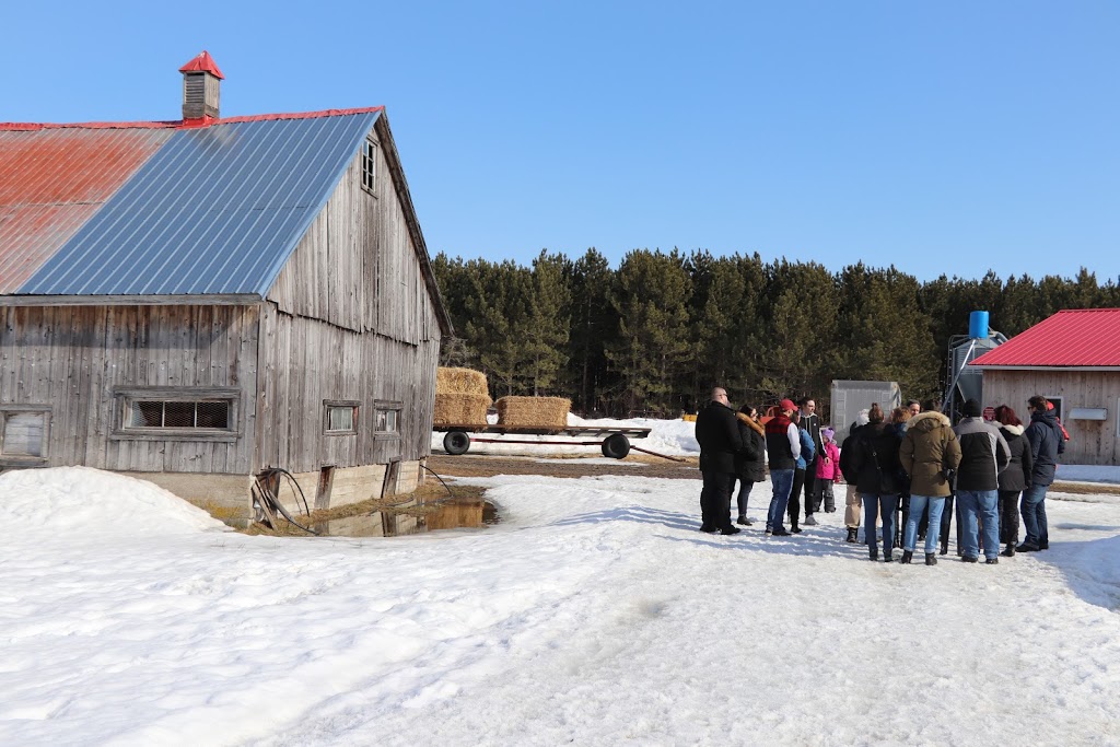 Ferme Le Crépuscule - Yamachiche - poulet - cabane a sucre | 1321 Chemin de la Grande Rivière N, Yamachiche, QC G0X 3L0, Canada | Phone: (819) 296-1321