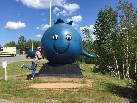 Irving Oil | 599 Prospect Rd, Goodwood, NS B3T 1P2, Canada | Phone: (902) 876-7157