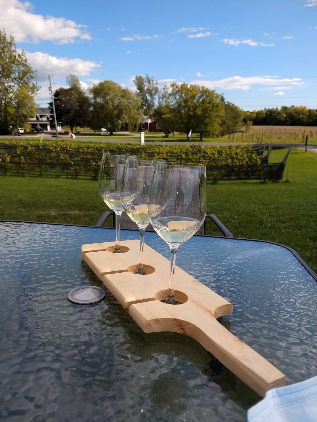 Lacey Estates Winery | 804 Closson Road, RR #1, Hillier, ON K0K 2J0, Canada | Phone: (613) 399-2598