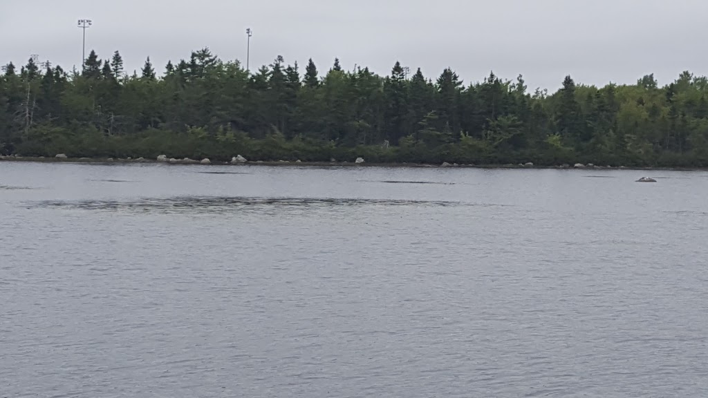Frenchman Lake Park | Eileen Stubs Avenue, Dartmouth, NS B3B, Canada