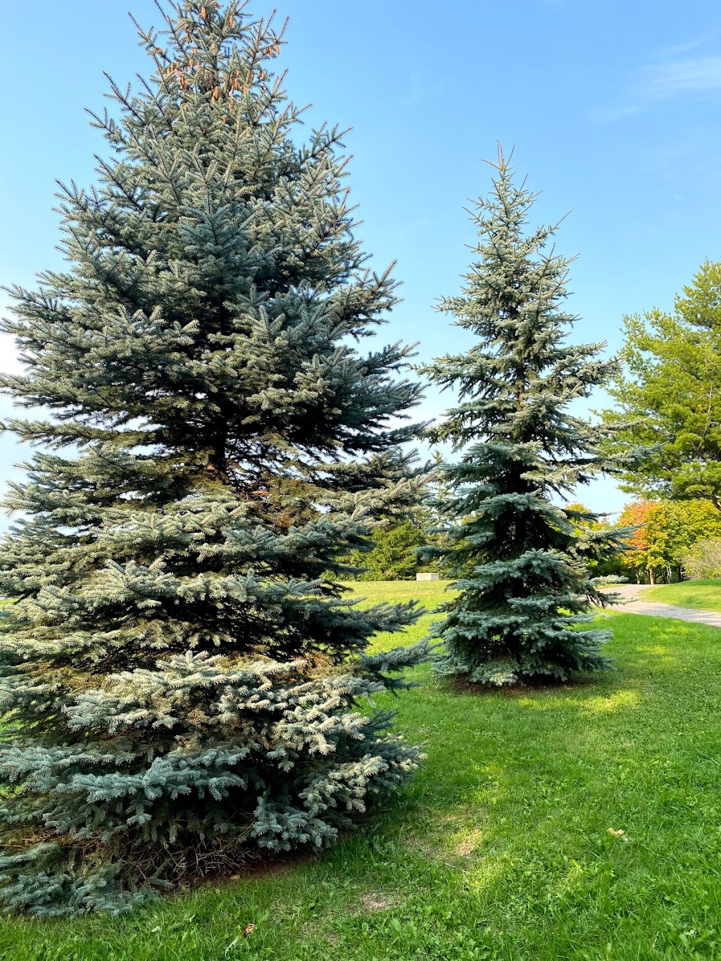 401 Hill Tobogganing Hill (Riverside Park) | Riverside Park Trail, Belleville, ON K8N 2S3, Canada | Phone: (613) 968-6481
