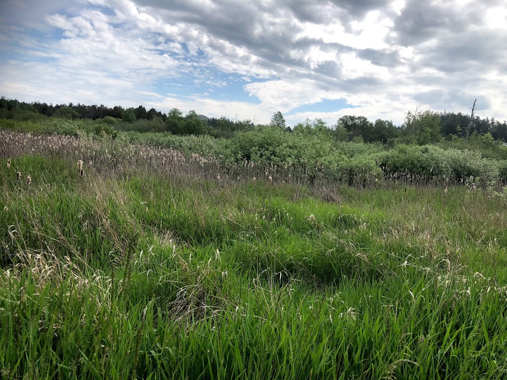 Rithets Bog Park | Saanich, BC V8X 5G6, Canada