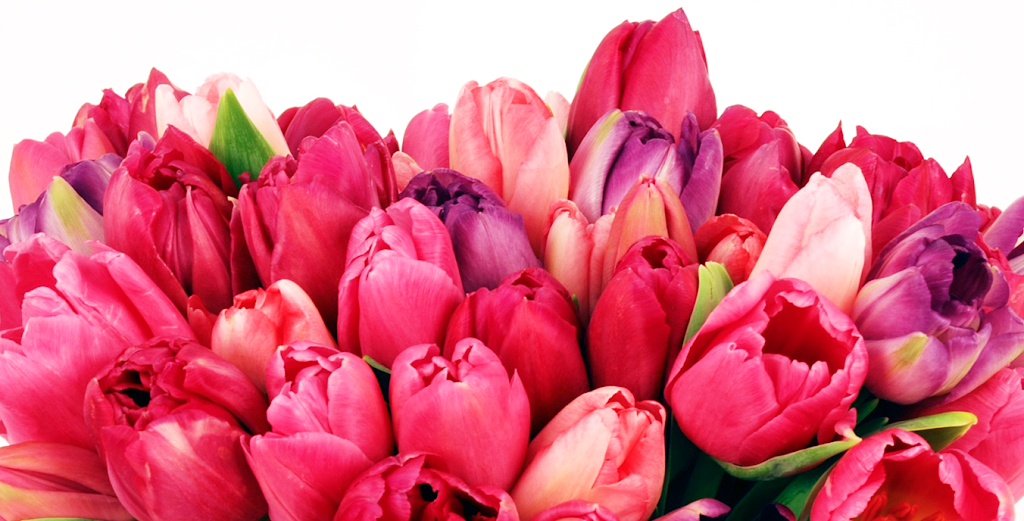 Mark Memorial Community Funeral Home | 2024 Industrial Road 2, Cranbrook, BC V1C 6R2, Canada | Phone: (250) 426-4864