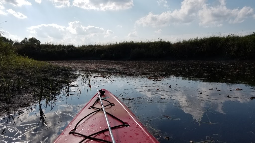 Clyde River Recreation LETS GO KAYAKING | 2314 VT-105, West Charleston, VT 05872, USA | Phone: (802) 895-4333