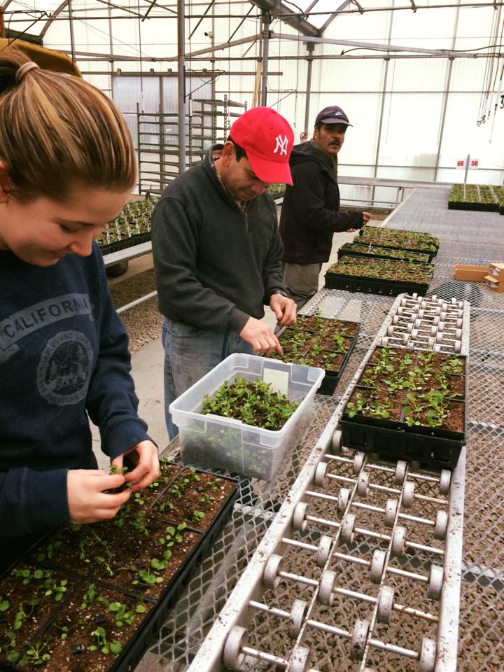 The Flower Spot Garden Centre | 5839 Okanagan Landing Rd, Vernon, BC V1H 1M3, Canada | Phone: (250) 549-0896