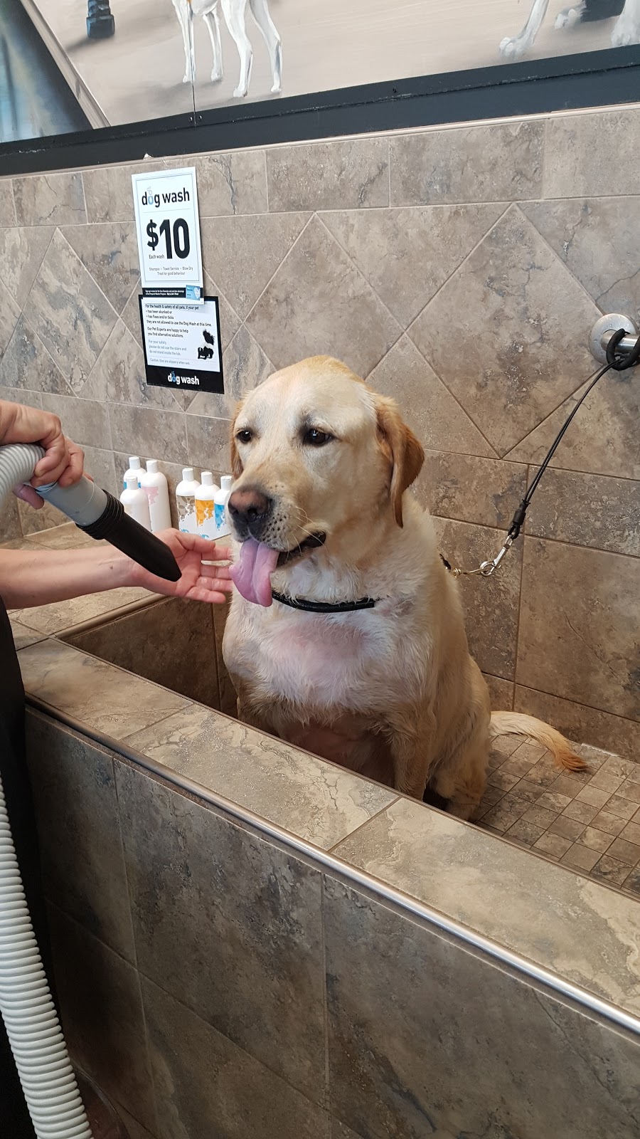Pet Valu | 450 Erb St W, Waterloo, ON N2T 1H4, Canada | Phone: (519) 886-6993