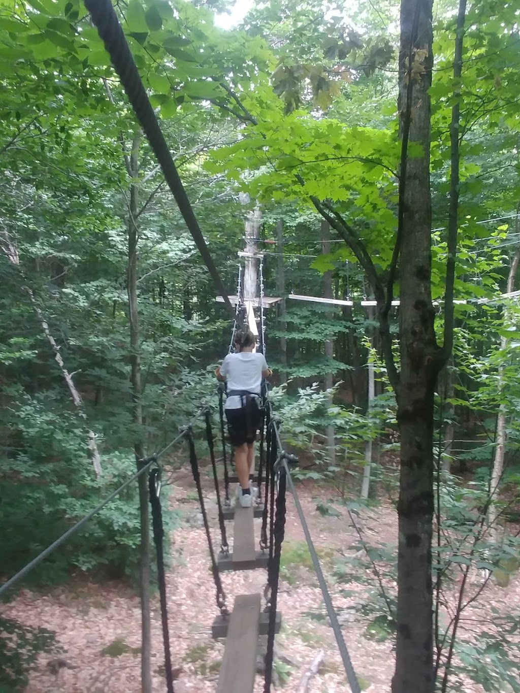 Acro-Nature | 231 R. Bennett, Morin-Heights, QC J0R 1H0, Canada | Phone: (450) 227-4671