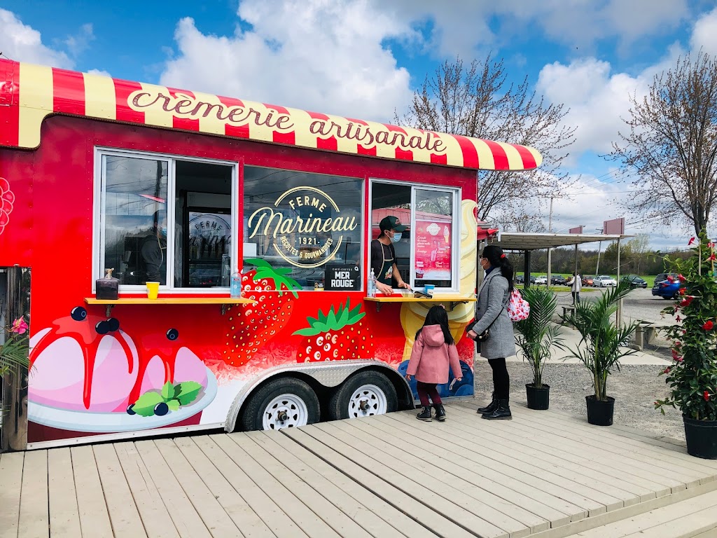 Tulipes.ca | 1055 Rue Principale, 1201 Chem. du Général Vanier, Laval, QC H7X 0C9, Canada | Phone: (450) 639-5145