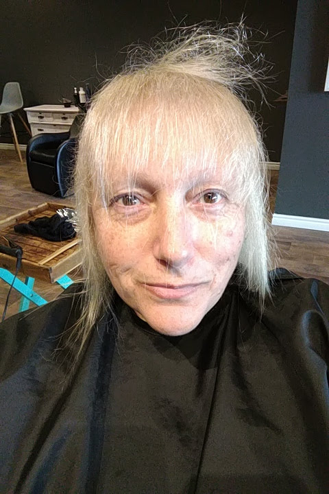 The Olive Branch Hair Studio | 1/2, 244 Talbot St, St Thomas, ON N5P 1B2, Canada | Phone: (519) 852-8735