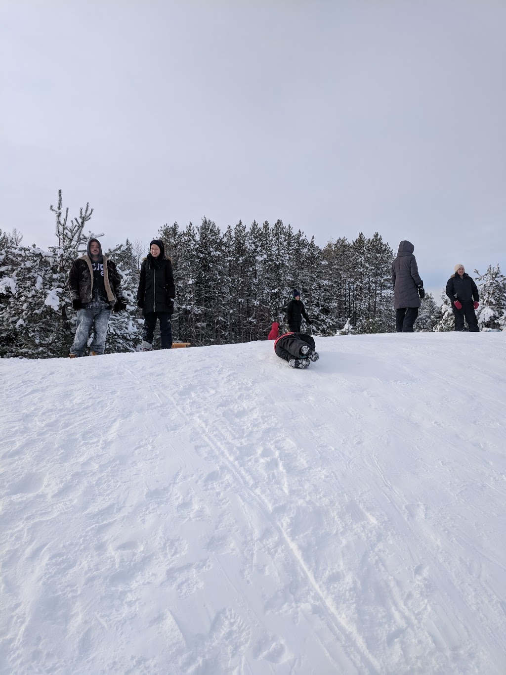 Allan Park Conservation Area | 301820 Concession Rd 2 SDR, Hanover, ON N4N 3B8, Canada | Phone: (519) 367-3040