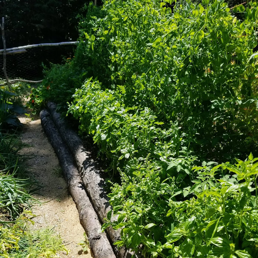Little Tree Farm | 175 Sarty Rd, New Germany, NS B0R 1E0, Canada | Phone: (902) 717-0003
