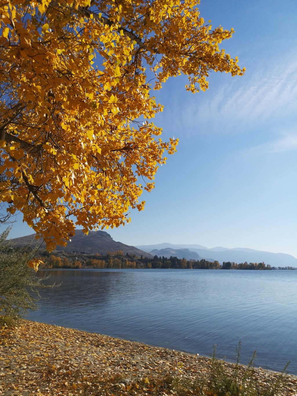 Brookvale Holiday Resort Inc | 1219 E. Lakeshore Drive, Osoyoos, BC V0H 1V6, Canada | Phone: (250) 495-7514