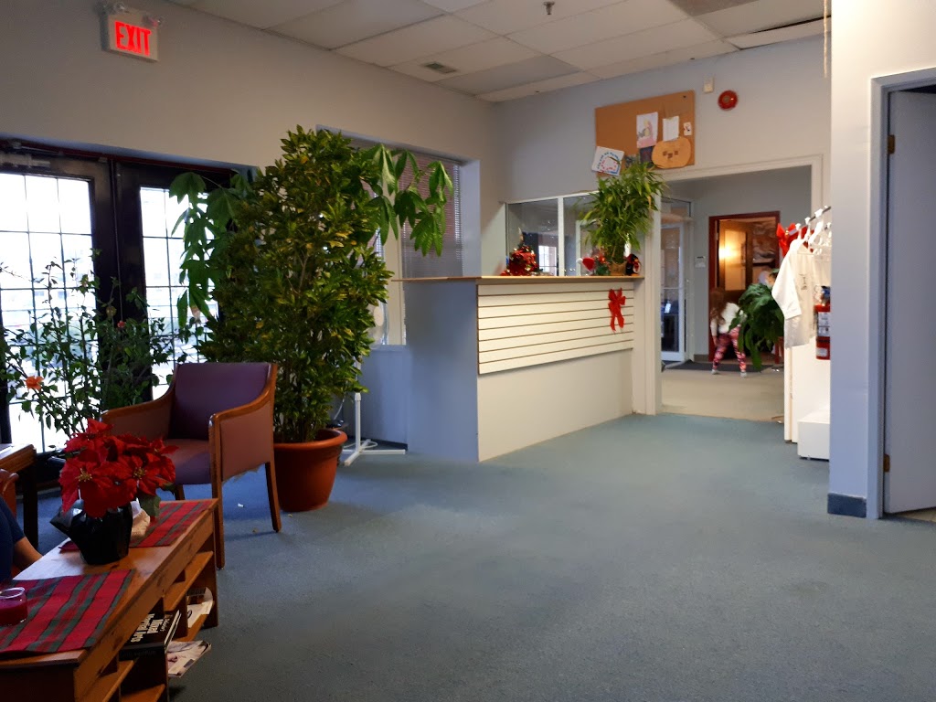 II Tigers Martial Arts | 24 Orchard Heights Blvd, Aurora, ON L4G 6T5, Canada | Phone: (905) 713-0206