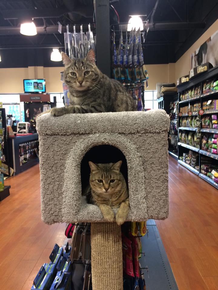 Bosleys by Pet Valu | 2306 BC-6 #210, Vernon, BC V1T 7E3, Canada | Phone: (250) 558-0566