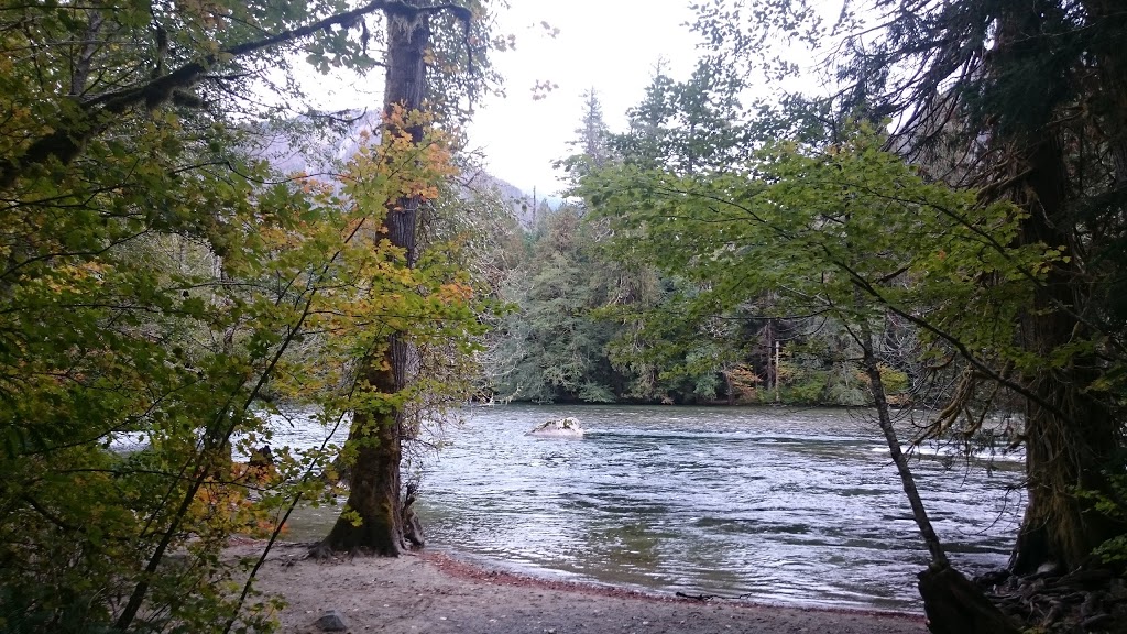 Timberline Park Llc | 7370 N Wilde Rd, Concrete, WA 98237, USA | Phone: (360) 826-3131