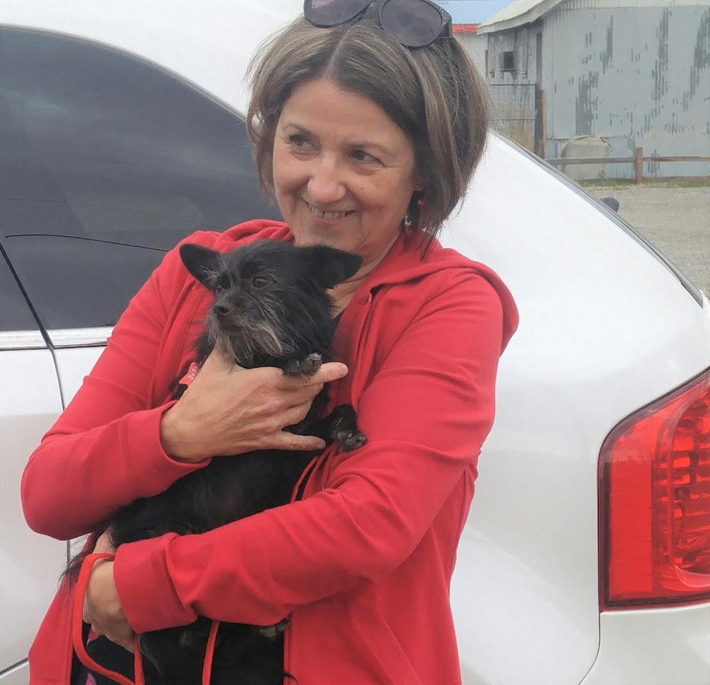 Our Last Hope Animal Rescue Society | Princeton, BC V0X 1W0, Canada | Phone: (604) 749-7150