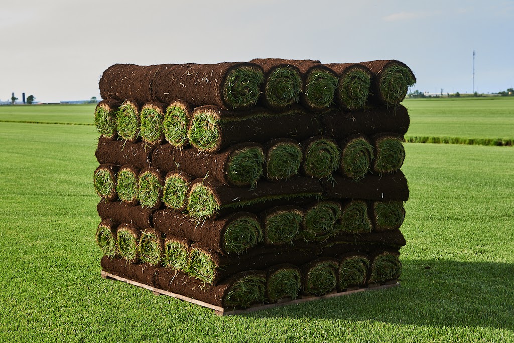 Manderley Turf Products Calgary | 3090 52 St SE, Calgary, AB T2B 1N2, Canada | Phone: (888) 225-3885 Manderley Turf Products Calgary | 3090 52 St SE, Calgary, AB T2B 1N2, Canada | Phone: (888) 225-3885