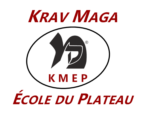 Krav Maga School Tray | 4265 Rue Papineau, Montréal, QC H2H 1T3, Canada