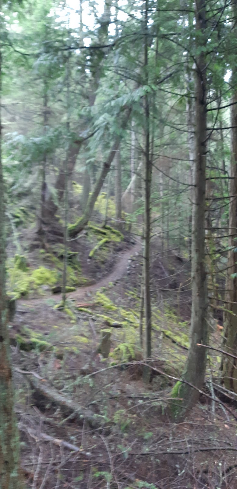 Turtleback Mountain North Trailhead | Crow Valley Rd, Eastsound, WA 98245, USA